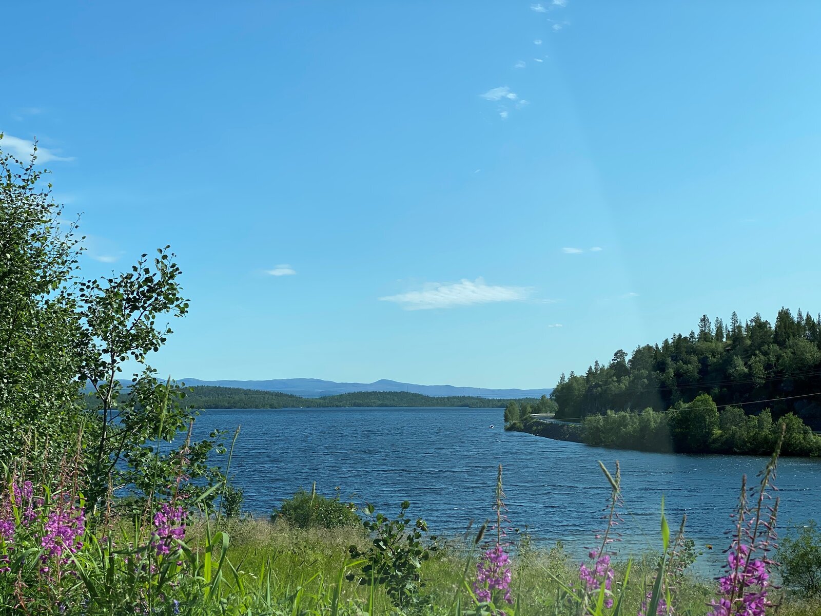 Svanvik