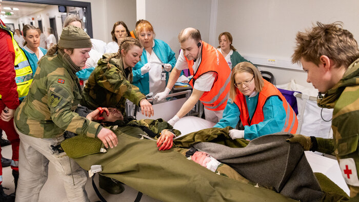 Øvelse Joint Viking 2025 Foto Lisa Skaar Næss Forsvaret Øvelse Joint Viking 2025 Foto Lisa Skaar Næss Forsvaret