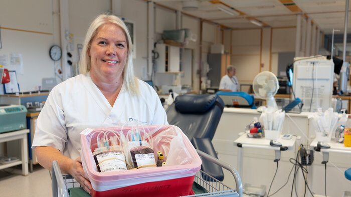 Bildet viser Torill Askjem Aae