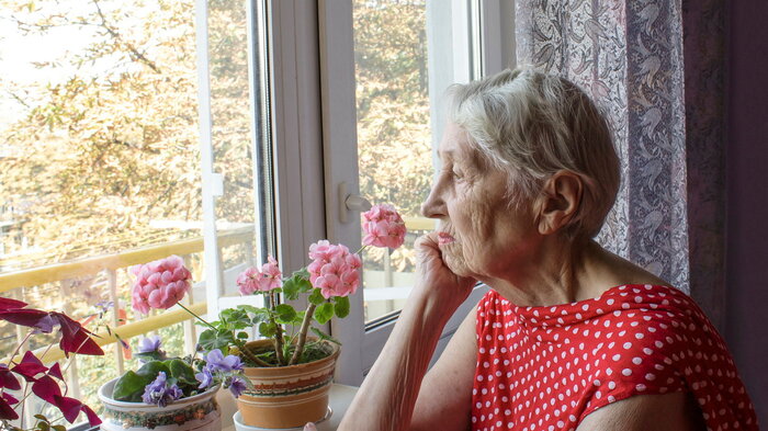 Ensom dame Eldre dame kikker ut av vindu