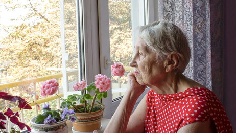 Ensom dame Eldre dame kikker ut av vindu