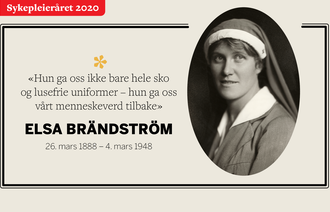 Fotomontasje Elsa Brändström