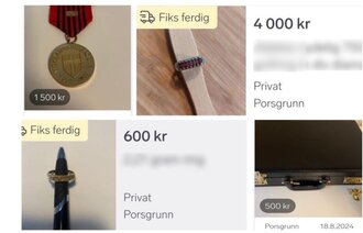 Skjermdump fra finnannonsen
