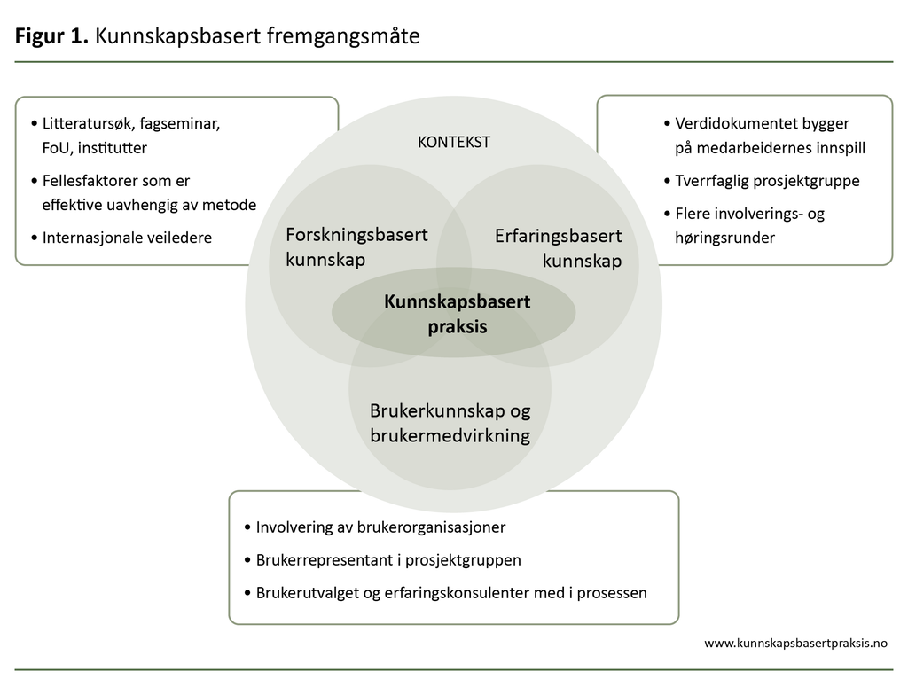 Figur 1. Kunnskapsbasert fremgangsmåte