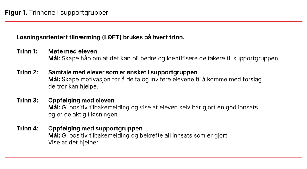 Figur 1. Trinnene i supportgrupper Figur 1. Trinnene i supportgrupper
