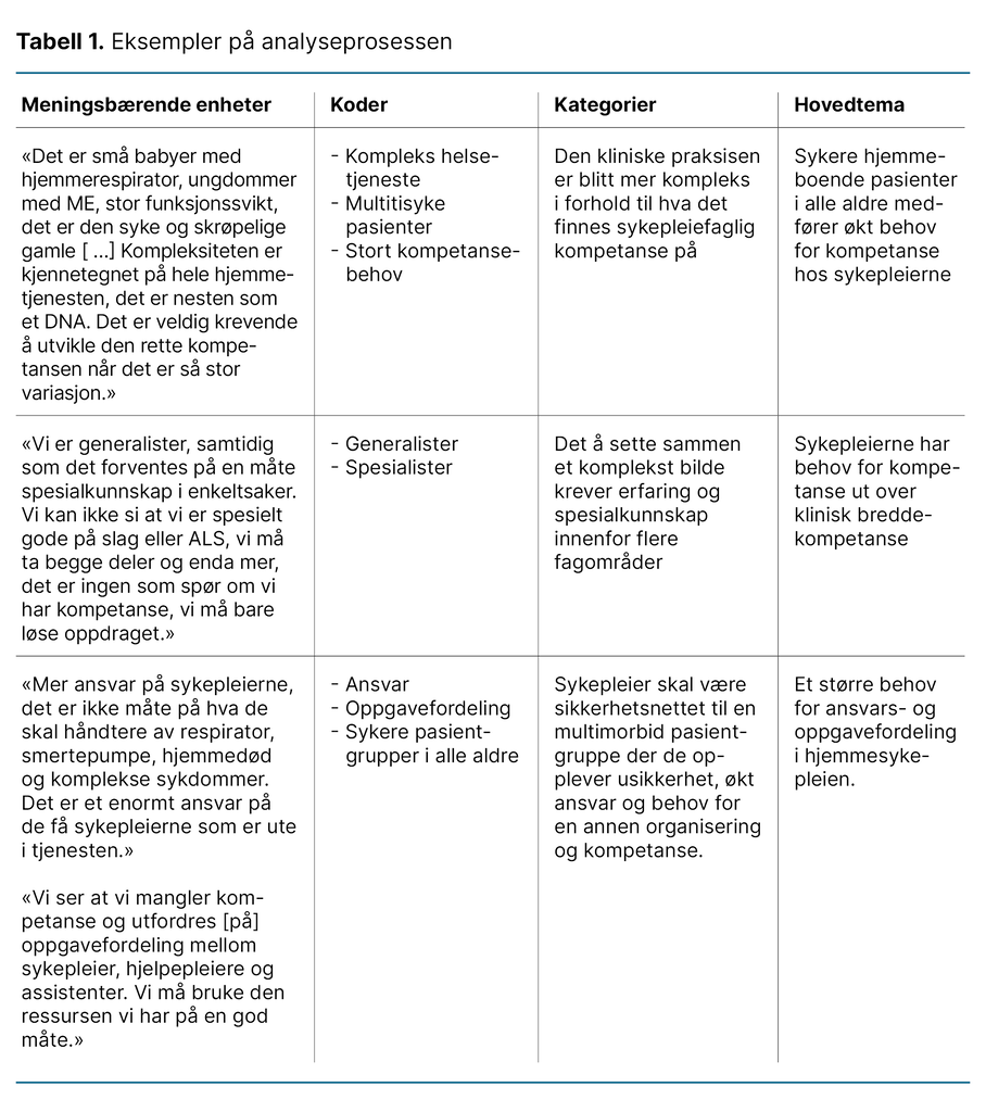 Tabell 1. Eksempler på analyseprosessen