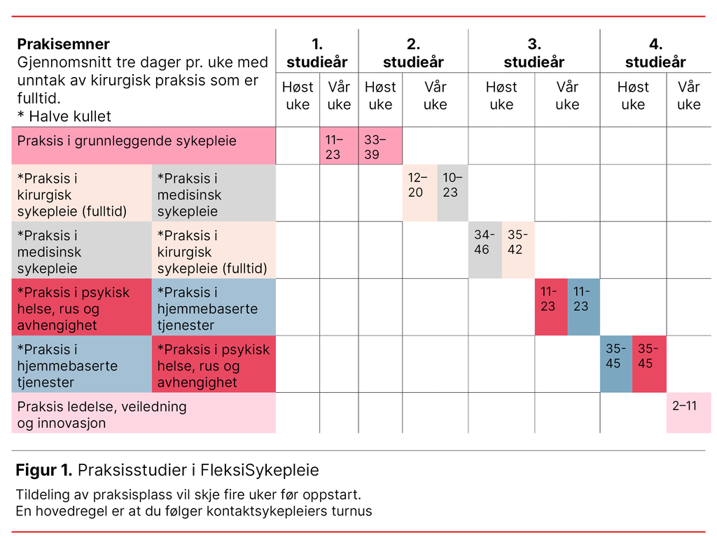 Figur 1. Praksisstudier i FleksiSykepleie