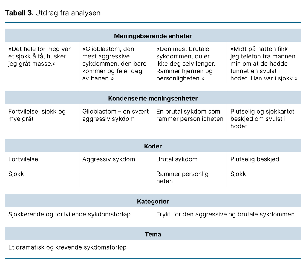 Tabell 3. Utdrag fra analysen 
