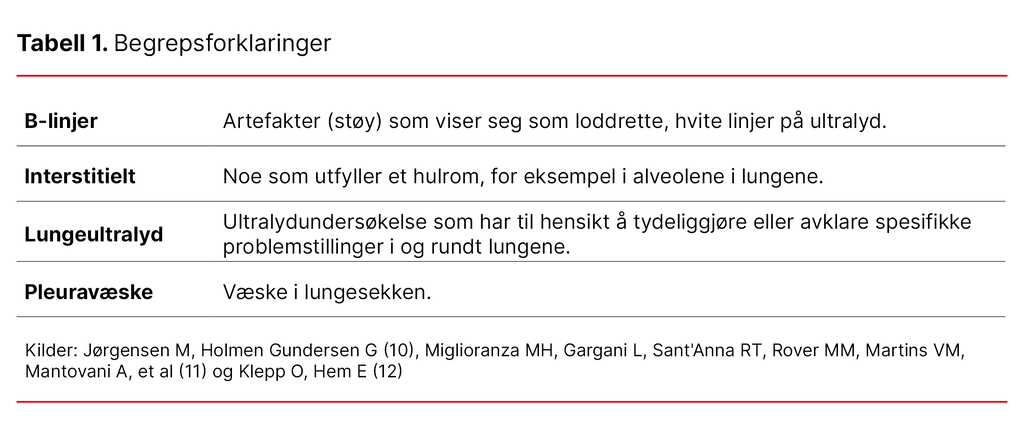 Tabell 1. Begrepsforklaringer