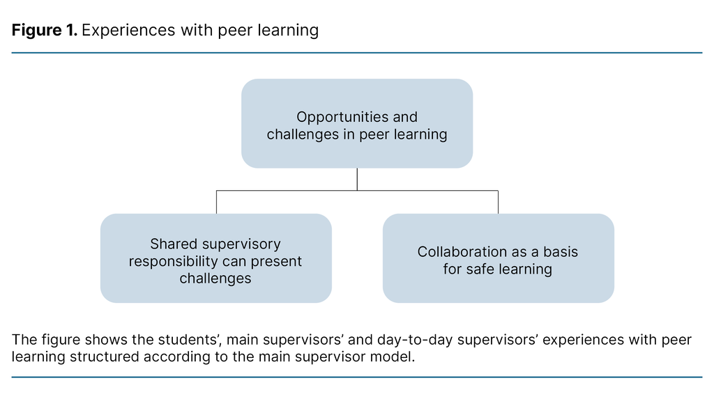 Figure 1. Experiences with peer learning Figure 1. Experiences with peer learning