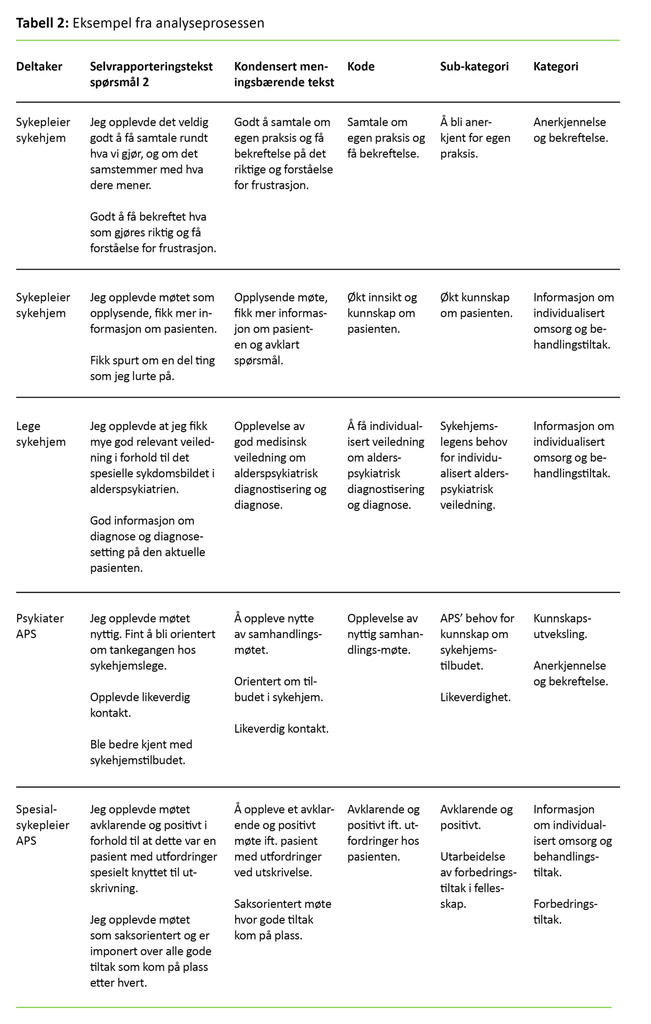 Tabell 2 Tabell 2: Eksempel fra analyseprosessen