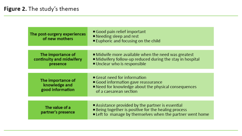 Figure 2 Figure 2. The study’s themes