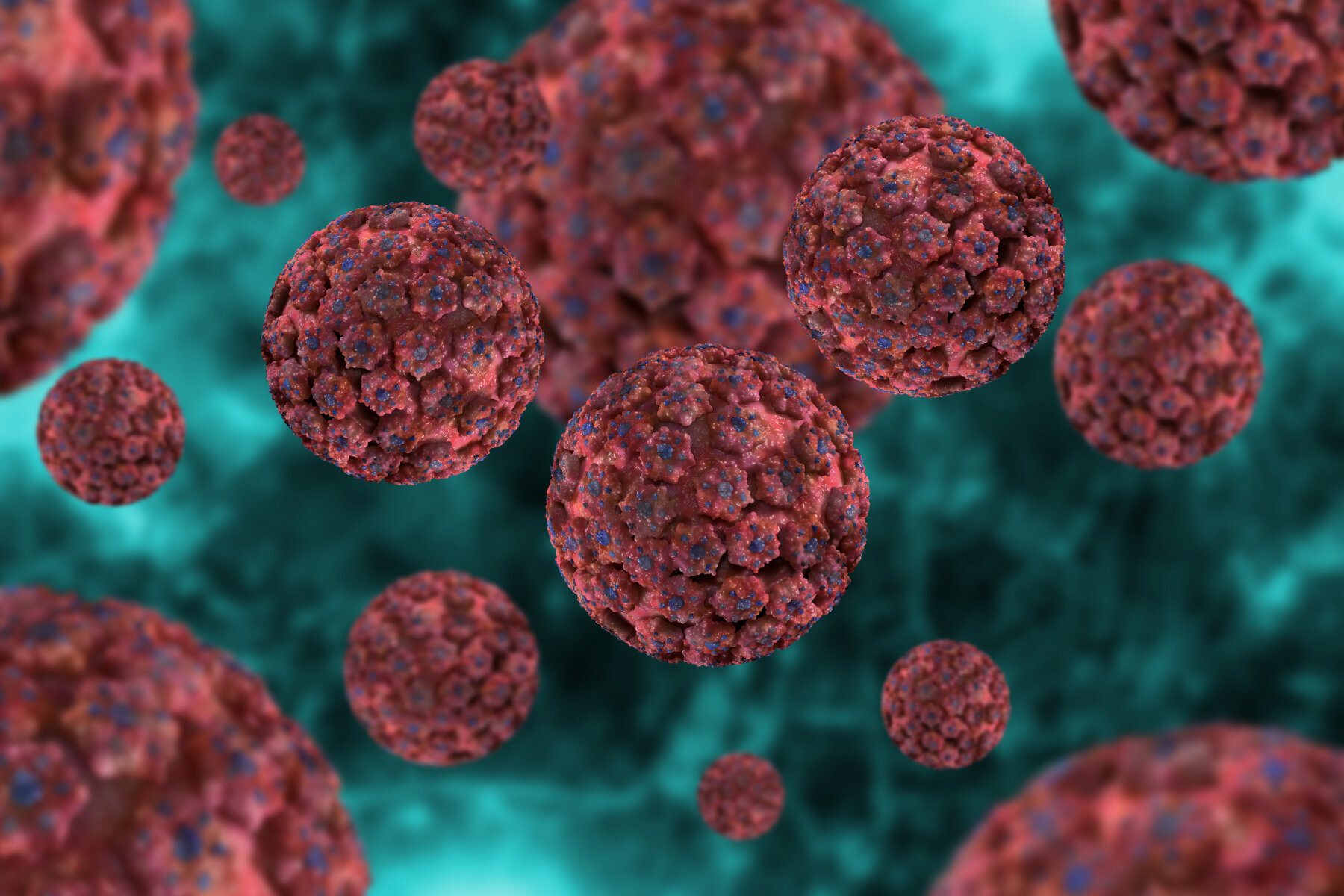 Hpv-virus Bildet viser hpv-virus.
