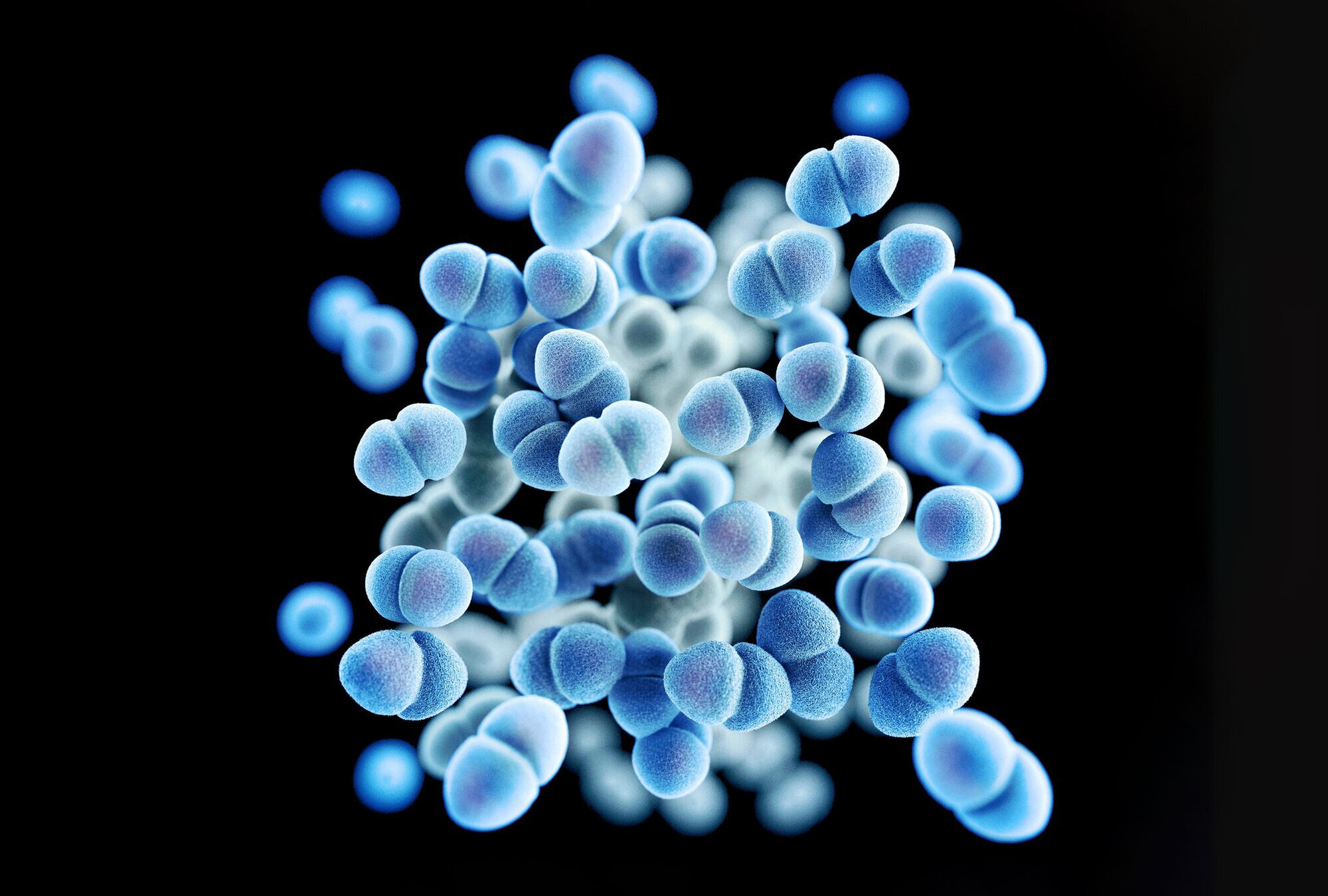 Vankomycinresistente enterokokker (VRE) Bildet viser vankomycinresistente enterokokker (VRE)