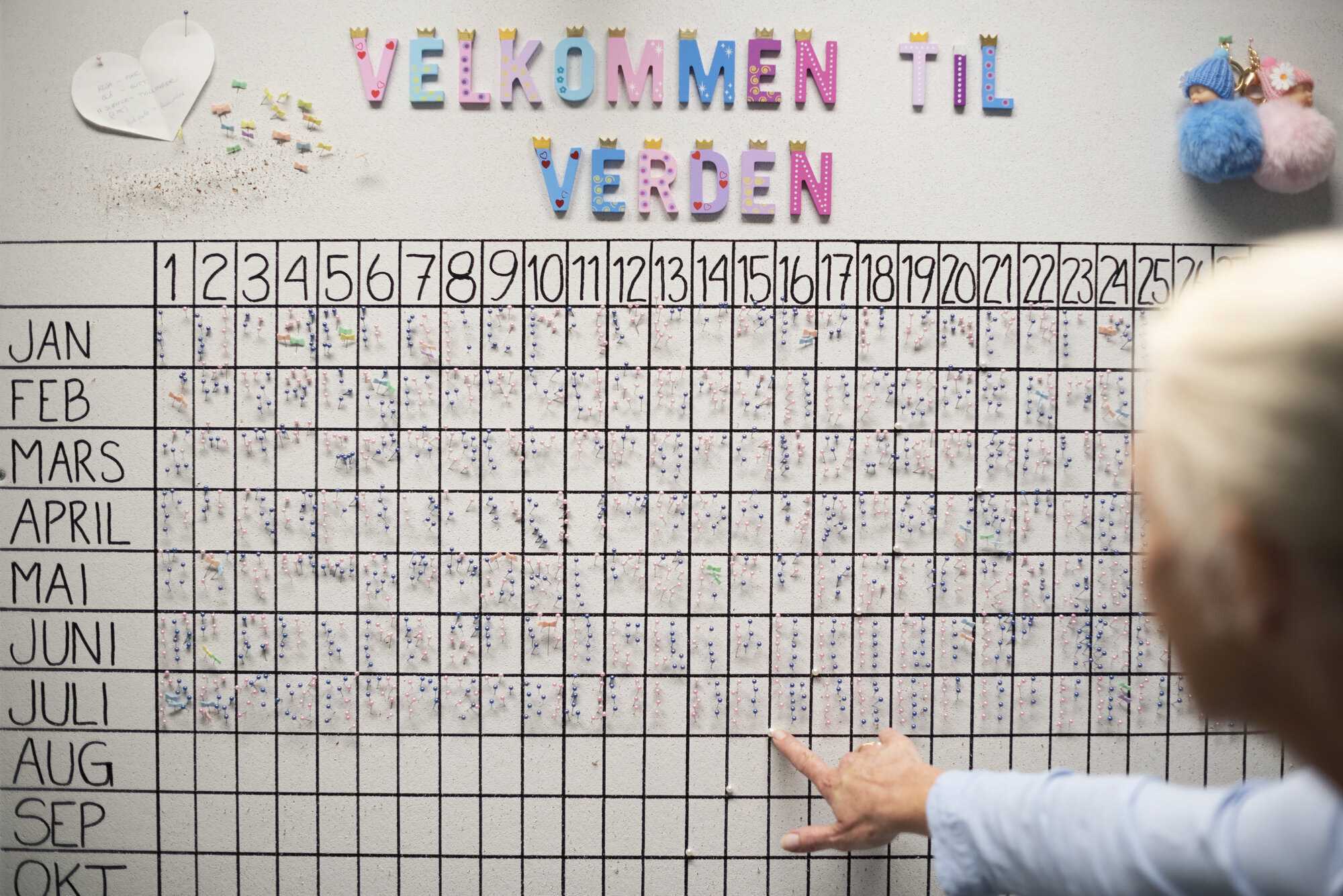 Fødeavdeling Bildet viser bakhodet på en kvinne foran en tavle med oversikt over fødte barn på fødeavdeling.
