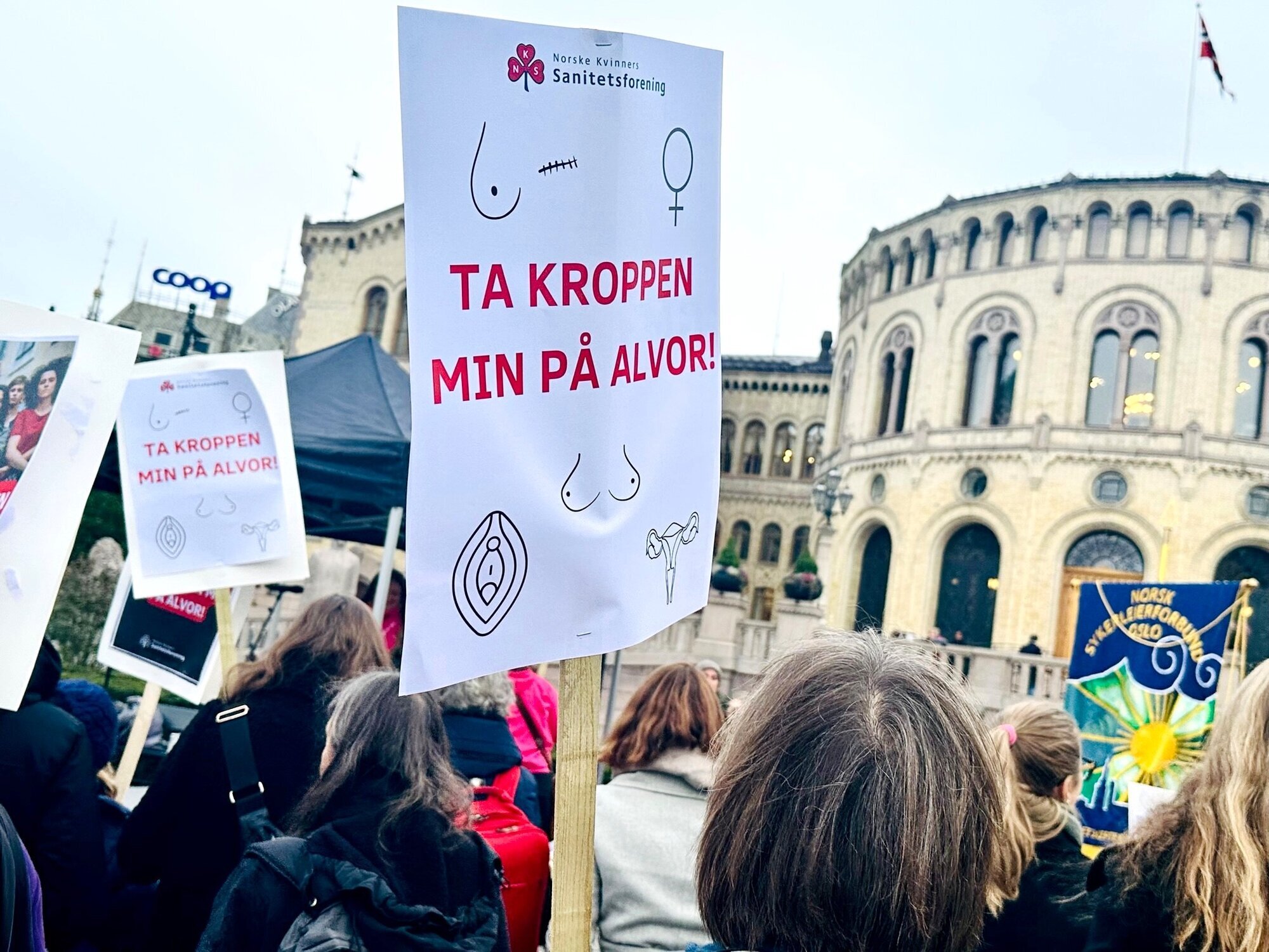 Demonstrasjon utenfor Stortinget Bildet viser demonstrasjon utenfor Stortinget