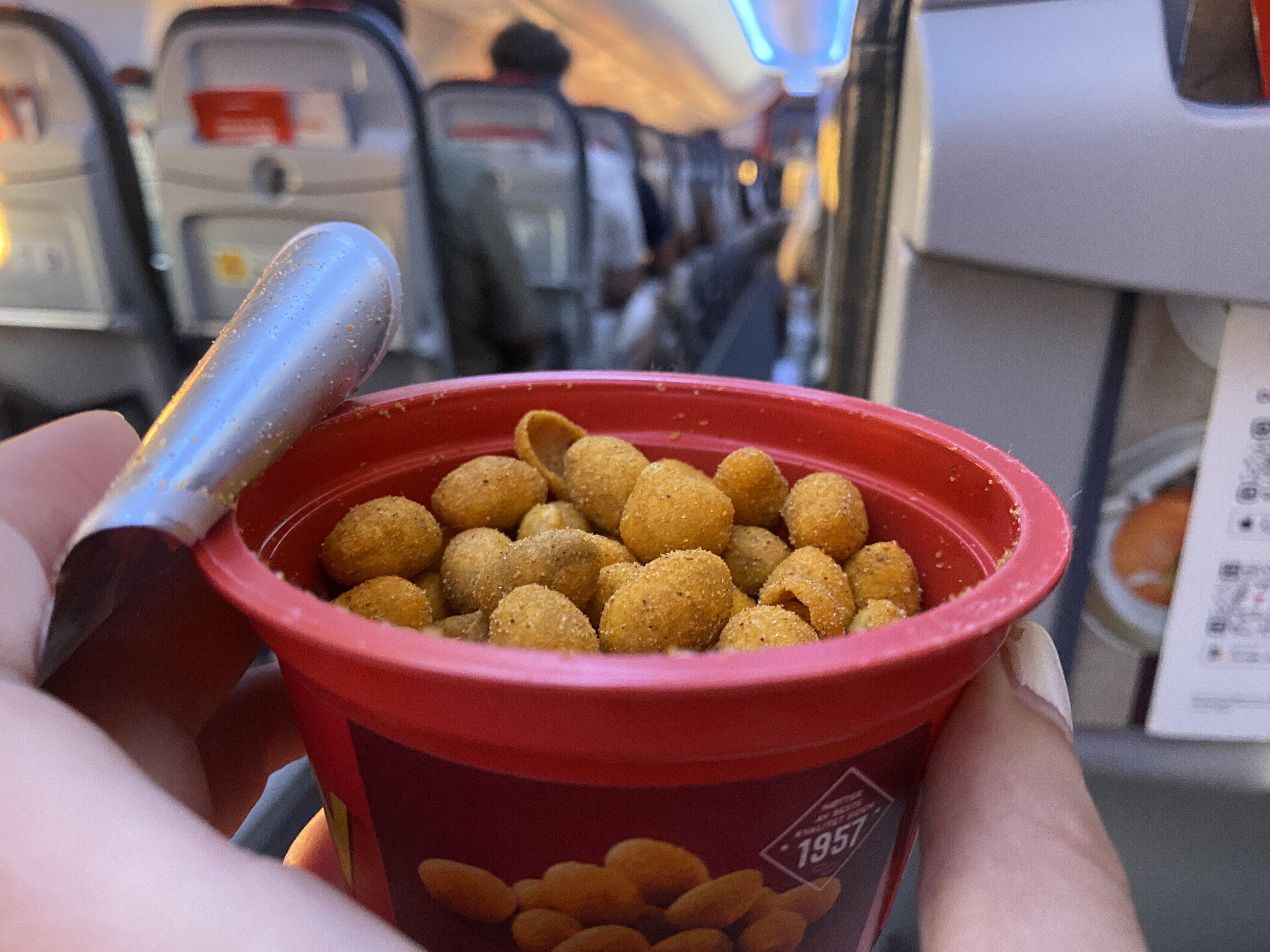 Nøtter på et fly