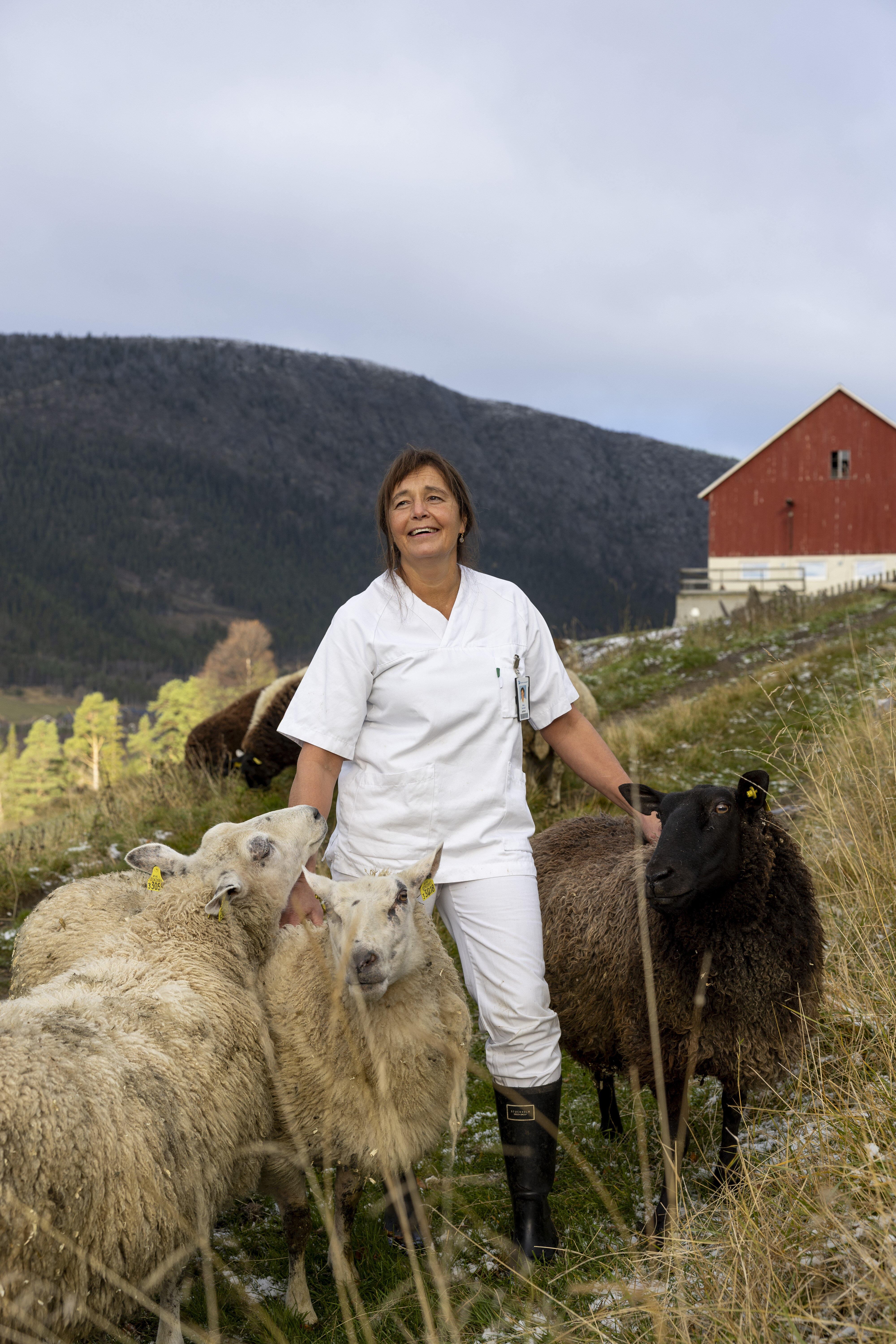 Jordmor Bjørg Randmæl blant sine sauer