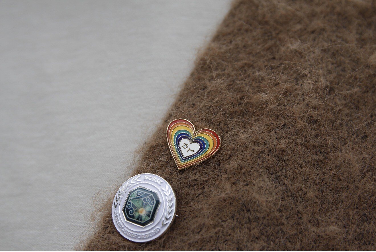 PINS NSF og 25. juni Henning Meling