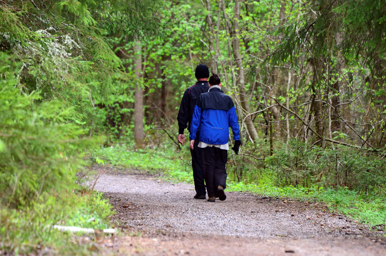 Skogstur Bildet viser to personer sett bakfra som går tur i skogen.
