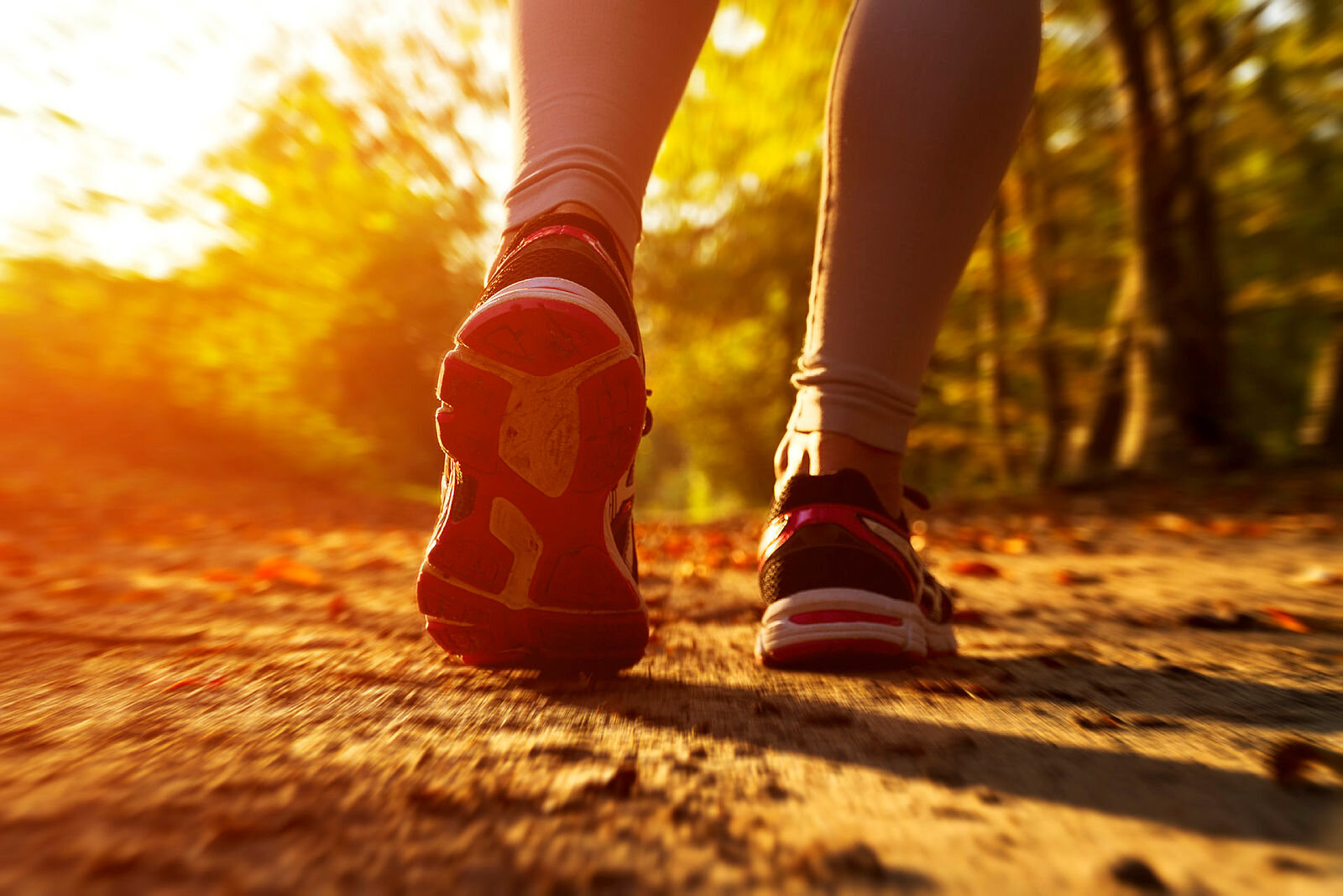 Jogger Bildet viser en som jogger i skogen