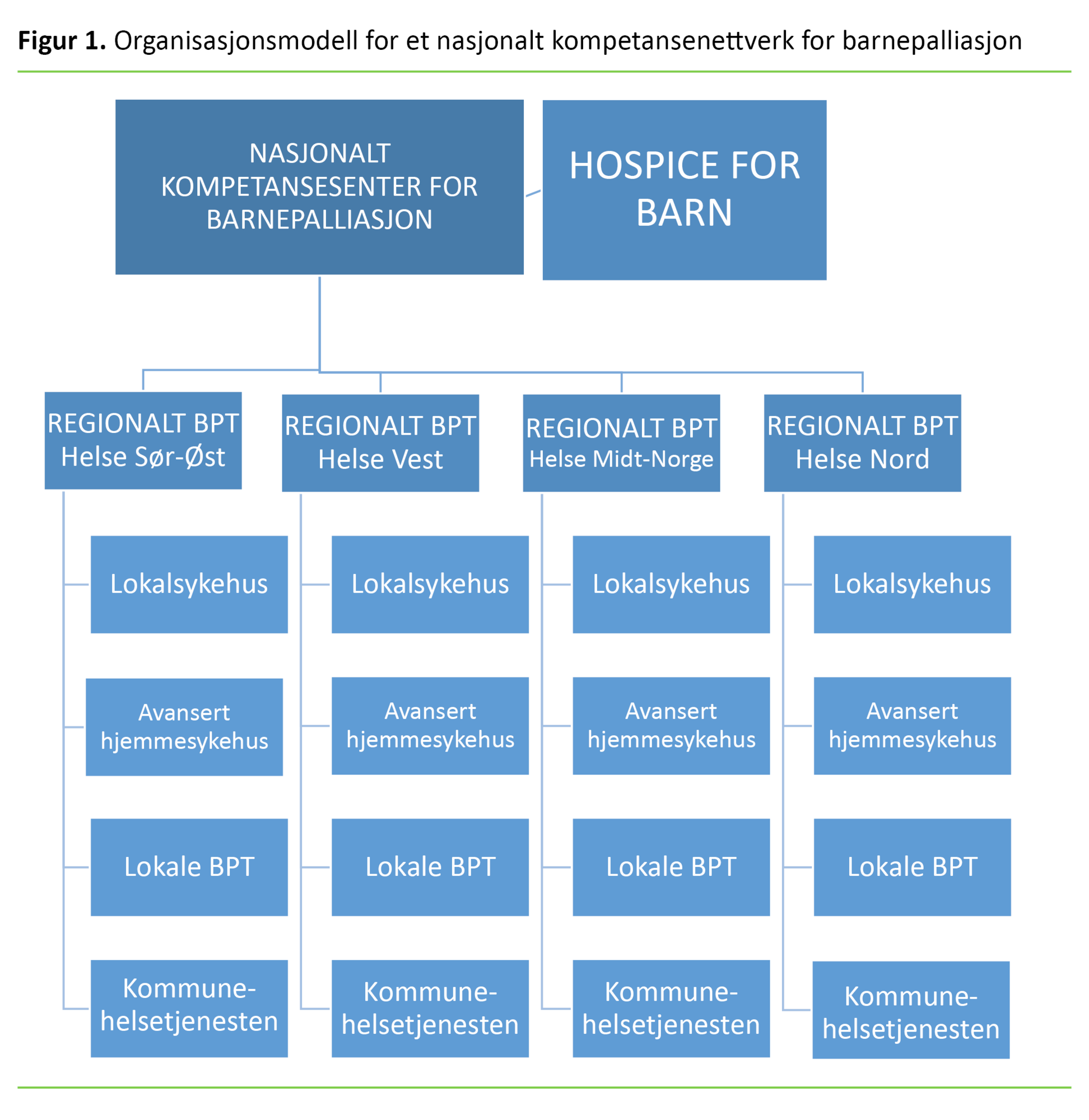 Figur 1 Organisasjonsmodell for et nasjonalt kompetansenettverk for barnepalliasjon Figur 1 Organisasjonsmodell for et nasjonalt kompetansenettverk for barnepalliasjon
