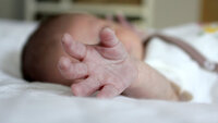 Baby. Bildet viser en baby.