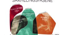 Sårhelingsfasene Illustrasjonen viser de fire sårhelingsfasene.