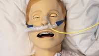 Bildet viser en simuleringsdukke.