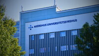 Bildet viser fasaden på Ahus